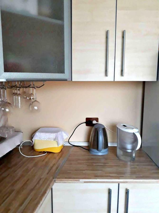 Apartment In The Historical City Center Chernivtsi Exterior foto